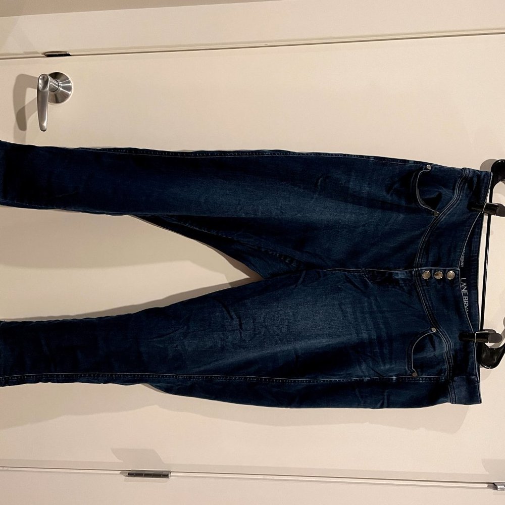 High Rise Skinny Jeans Lane Bryant 20